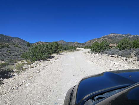 Logan Canyon Road