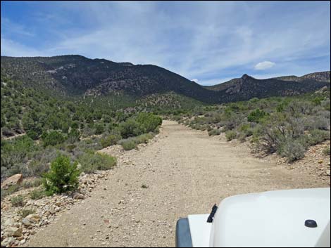 Logan Townsite Road