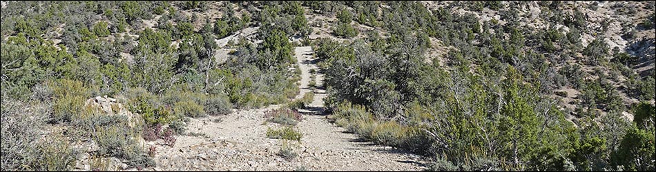 Logan Canyon Road