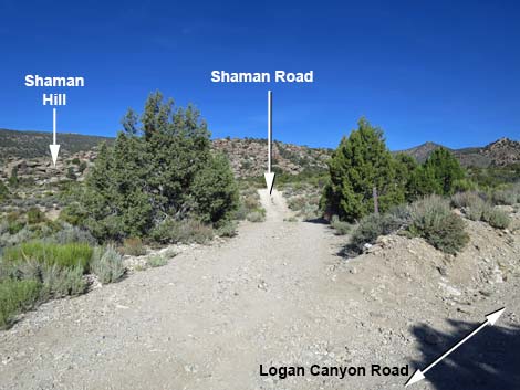 Shaman Road