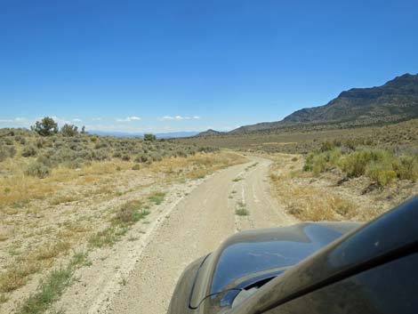 Timber Pass Road