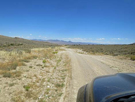 Timber Pass Road