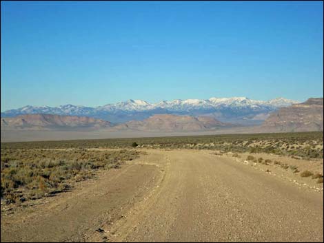 Timber Pass Road