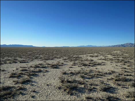 Timber Mountain Pass Road