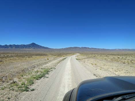 Timber Pass Road