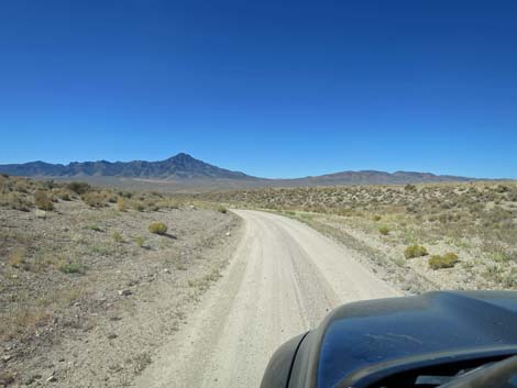 Timber Pass Road