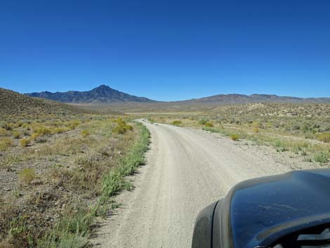 Timber Pass Road