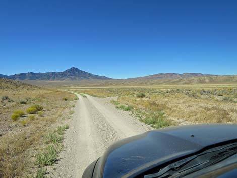 Timber Pass Road