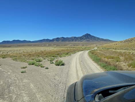 Timber Pass Road