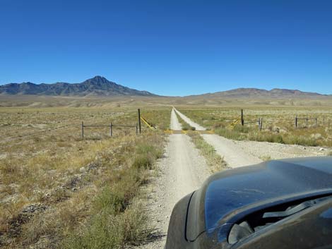 Timber Pass Road