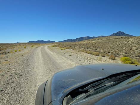 Timber Pass Road