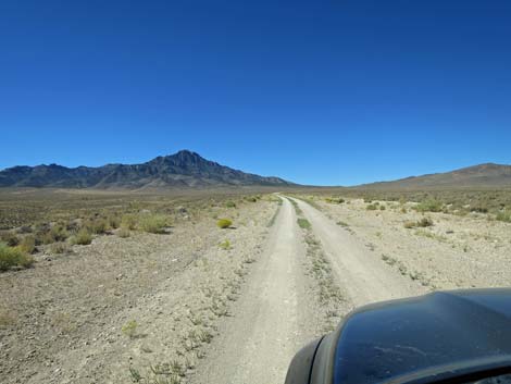 Timber Pass Road