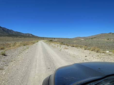 Timber Pass Road