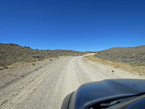 Timber Pass Road