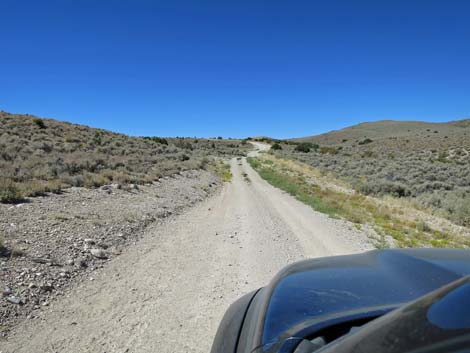 Timber Pass Road