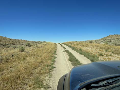 Timber Pass Road