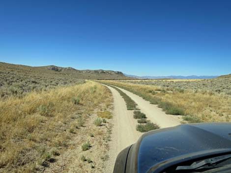 Timber Mountain Pass Road