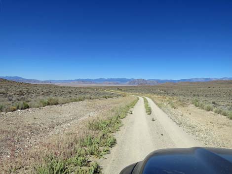 Timber Pass Road