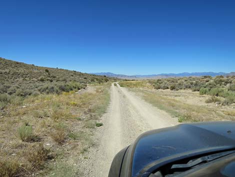 Timber Pass Road