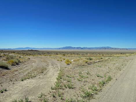 Timber Pass Road