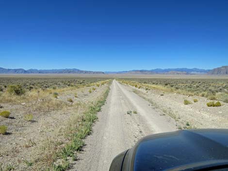 Timber Pass Road