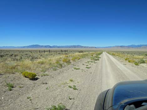 Timber Pass Road