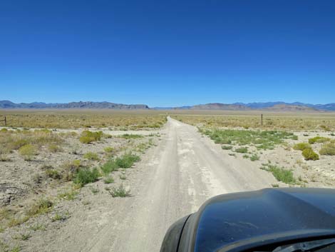 Timber Pass Road