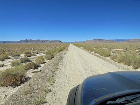 Timber Pass Road