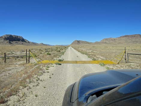 Timber Pass Road