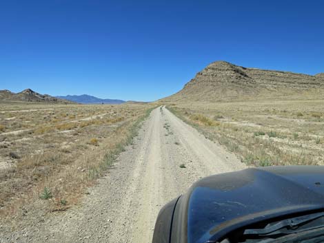 Timber Pass Road