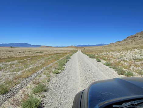 Timber Pass Road