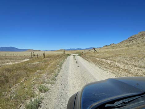 Timber Pass Road