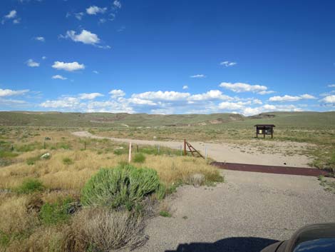 White River Narrows Rock Art Site