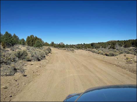 Wild Horse Valley Road