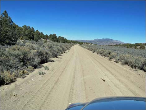 Wild Horse Valley Road