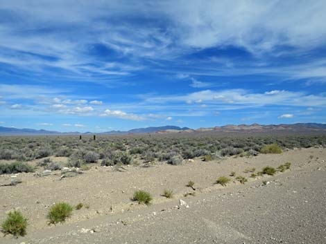 Wild Horse Valley Road