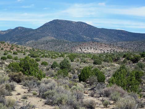 Wild Horse Valley Road