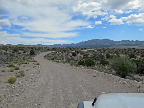 Wild Horse Valley Road