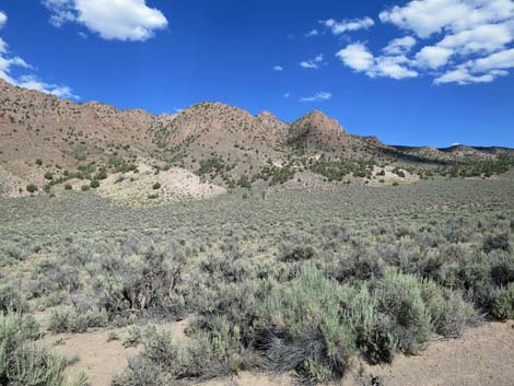 Wild Horse Valley Road