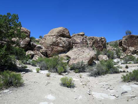 Shooting Gallery Rock Art Site