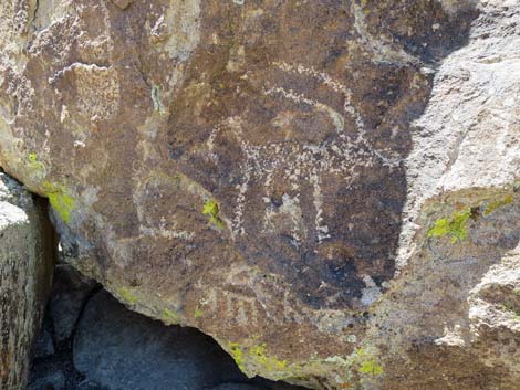 Shooting Gallery Rock Art Site