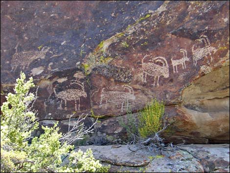 Shooting Gallery Rock Art Site