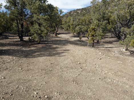 Badger Valley Road