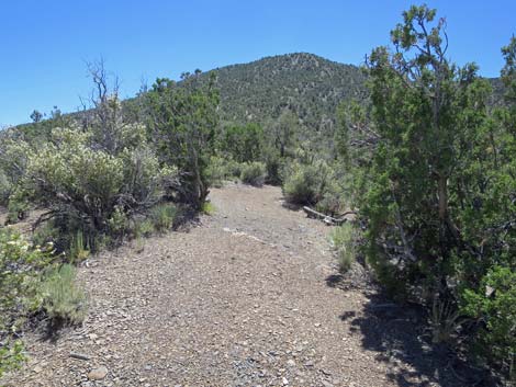 Tikaboo Peak