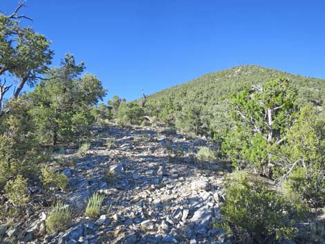 Tikaboo Peak