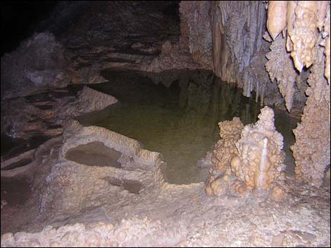 Whipple Cave