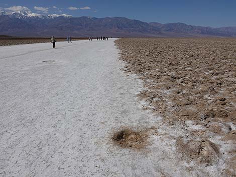 Badwater Salt Flat Trail