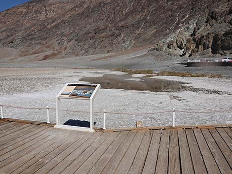 Badwater Salt Flat Trail