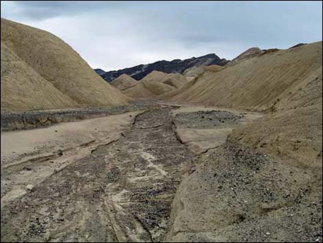 Corkscrew Canyon