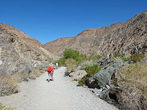 Darwin Falls Trail